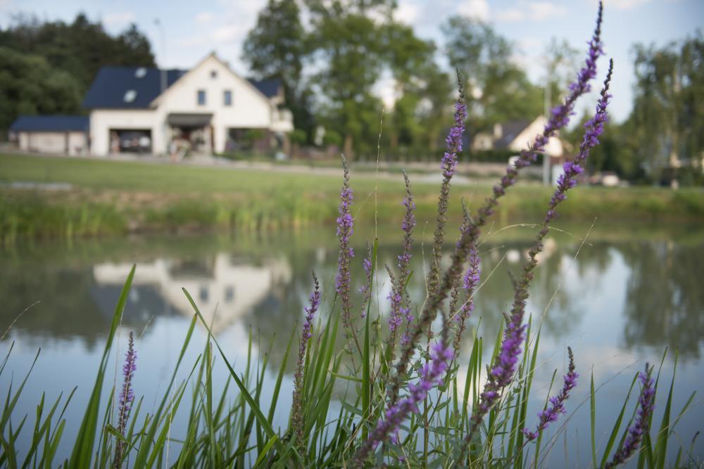 Apartamenty U Harrego I Przy Stawie Spa Z Klimatyzacja, Balia, Sauna, Ogrodem I Parkingiem Kudowa-Zdroj Bagian luar foto